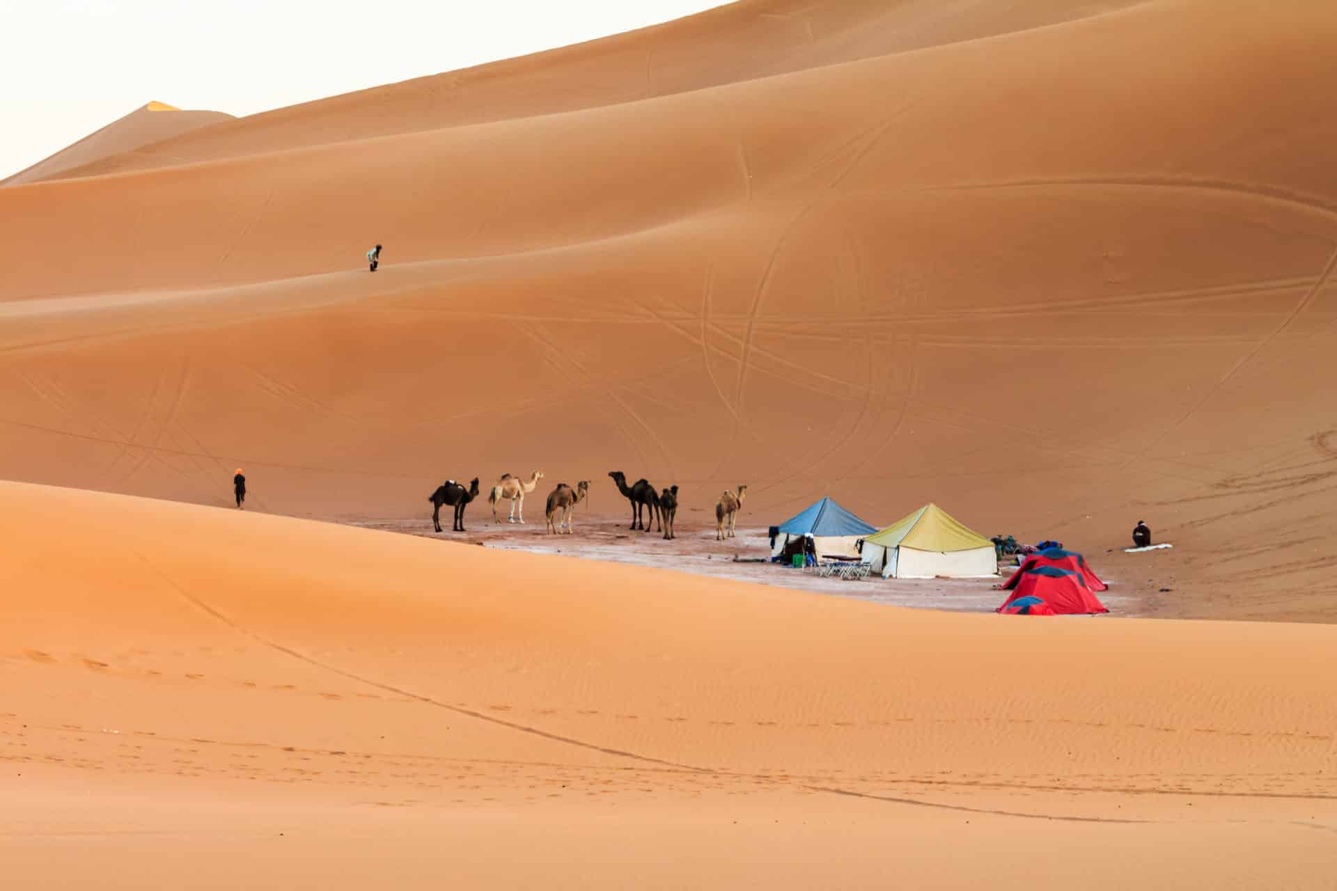 Camp in sahara desert, morocco