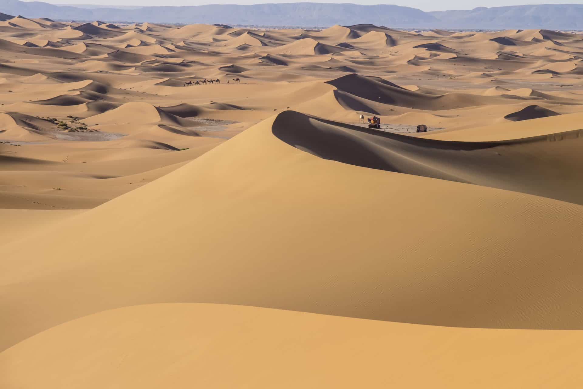 Erg Chigaga Caravan in Sahara Desert