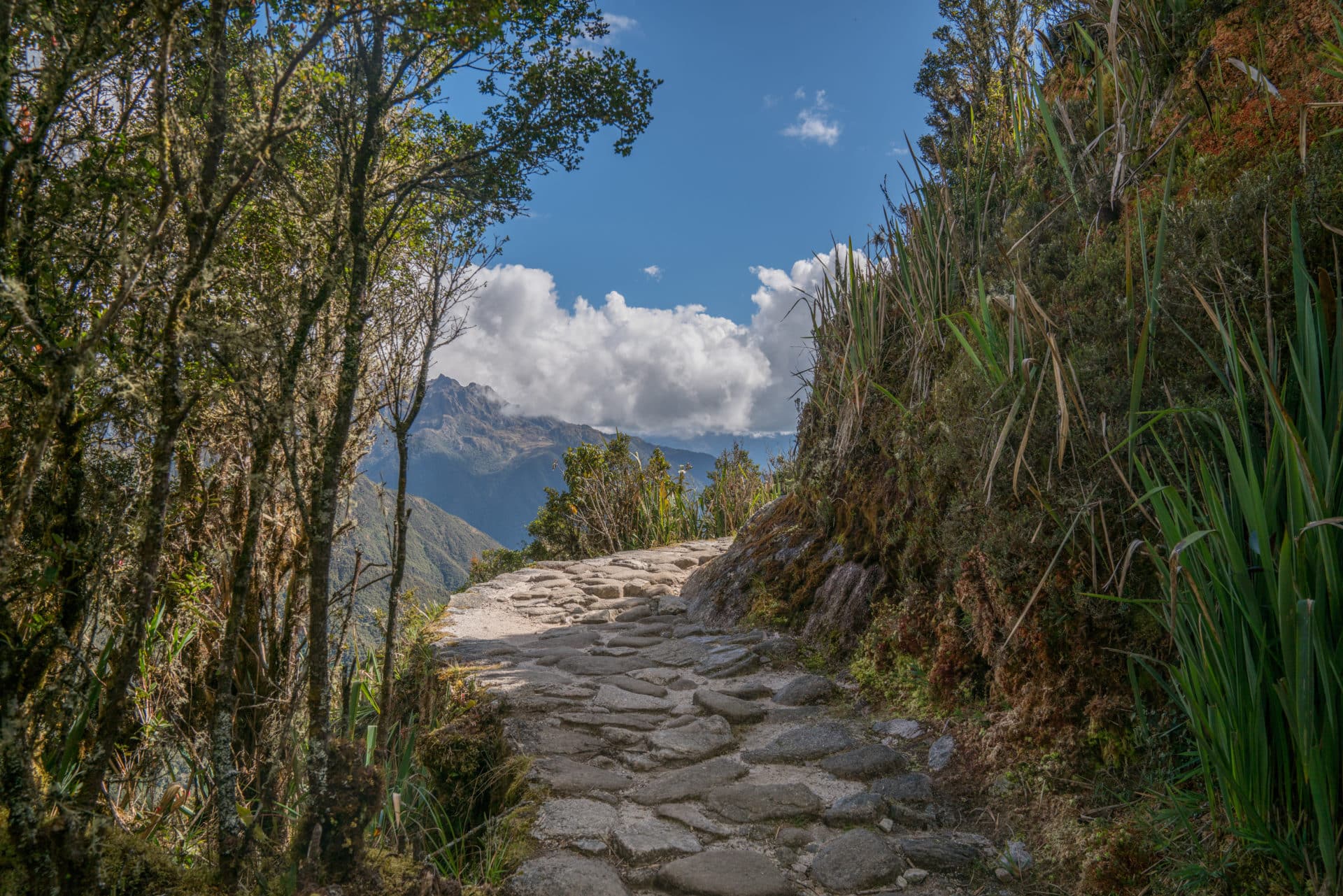 Inca trail to Machu Machu Picchu
